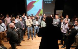 galeria4a_14